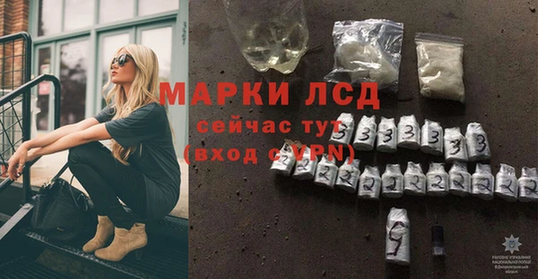 стаф Абинск