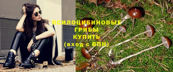 каннабис Алексин