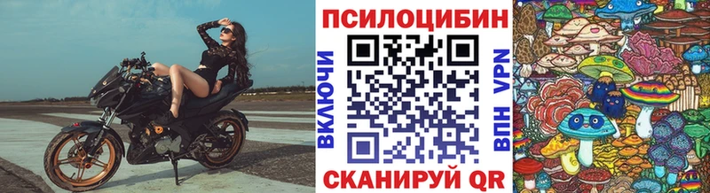 даркнет состав  Дмитровск  Галлюциногенные грибы Psilocybe 